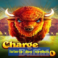 loteria dos sonhos giga bicho